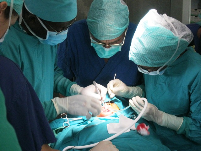 2013 Chirurgie becs de lièvre